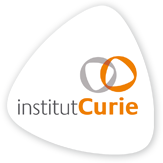 associationInstitut Curie, comparateur association Institut Curie, comparer association Institut Curie, comparatif association Institut Curie, don Institut Curie